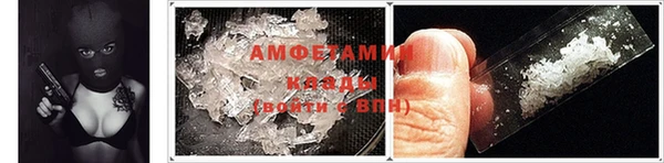 мяу мяу мука Баксан