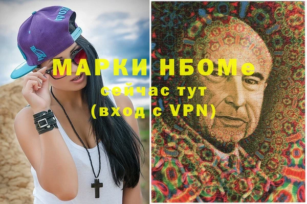 индика Балахна