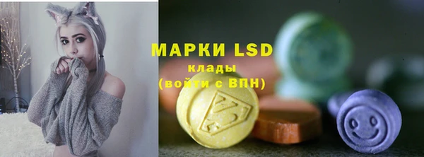 индика Балахна