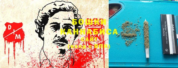индика Балахна