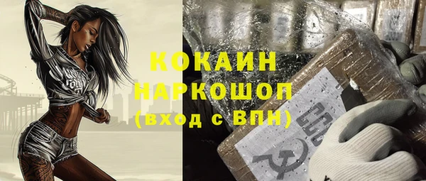 индика Балахна