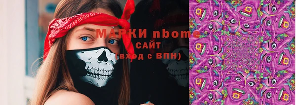 индика Балахна