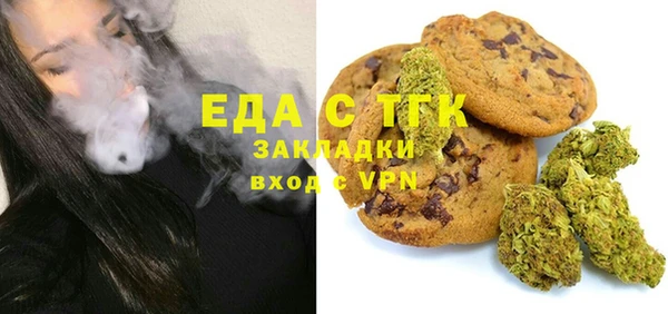 индика Балахна