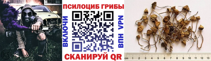 блэк спрут зеркало  Горняк  Галлюциногенные грибы Cubensis  где можно купить наркотик 